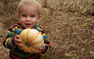 Pumpkin Maze / Britainy Zapshalla