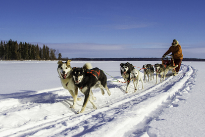 Dogsled / Tourism Saskatchewan